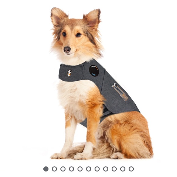 Thunder shirt sz large 41-64lbs - Picture 1 of 1